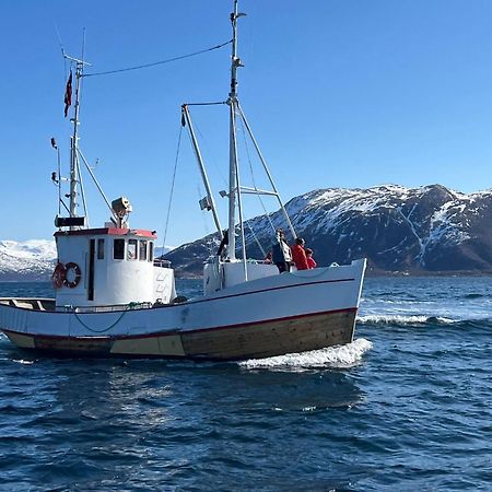 Maribell Sjobuer As Daire Tromsø Dış mekan fotoğraf